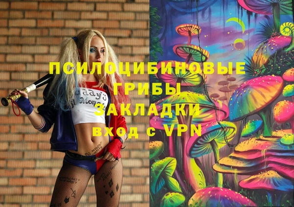амф Алексин