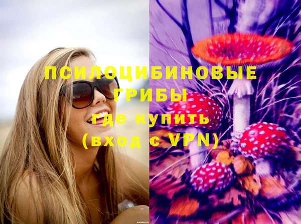амф Алексин