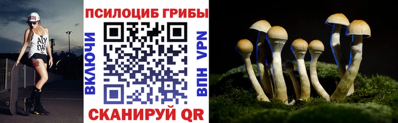 hydra ONION Щёлкино Галлюциногенные грибы Psilocybine cubensis